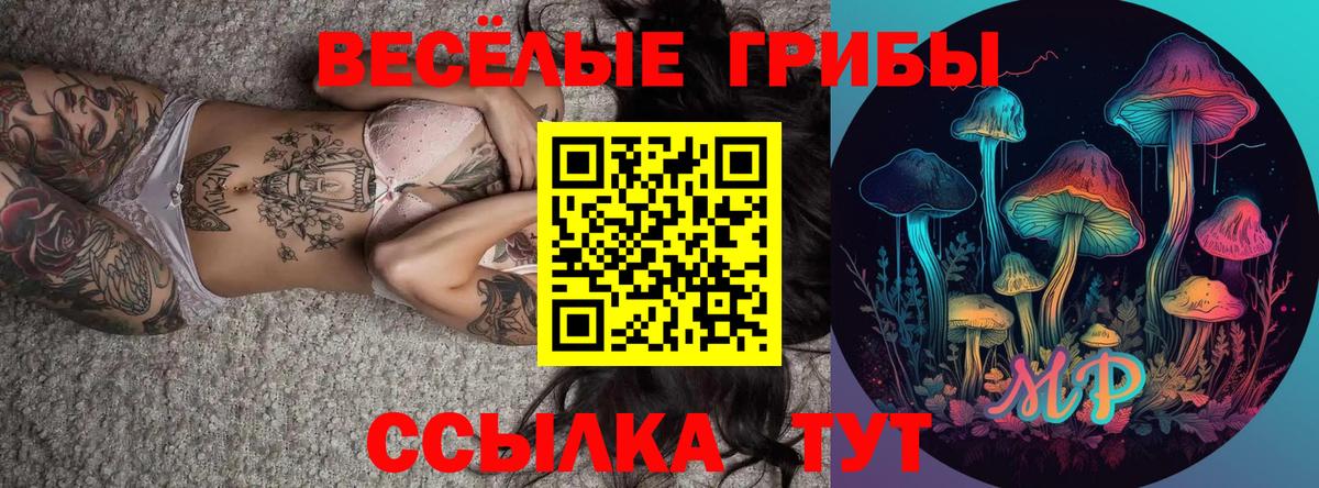Псилоцибиновые грибы GOLDEN TEACHER Зеленогорск